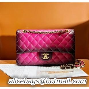 Promotional Chanel Quilted Lambskin Medium Classic Flap Bag AS2221 Rosy 2024