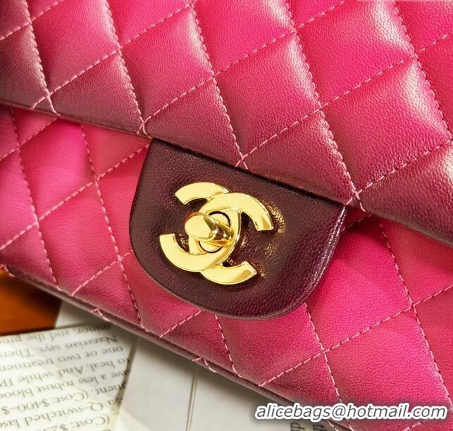 Promotional Chanel Quilted Lambskin Medium Classic Flap Bag AS2221 Rosy 2024