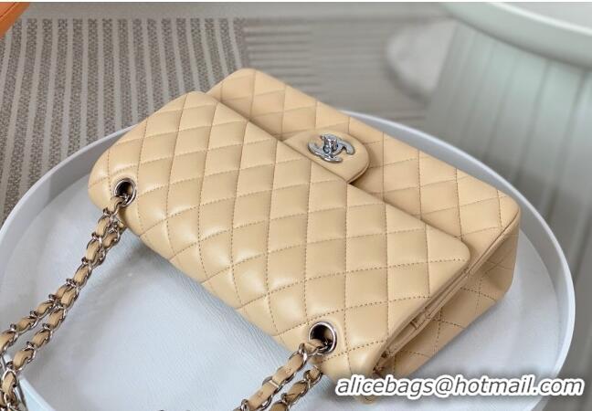 Best Price Chanel Lambskin Classic Medium Flap Bag A01112 Apricot/Silver