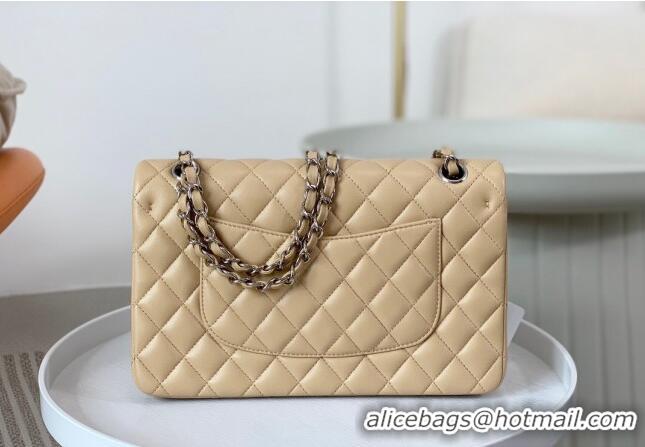 Best Price Chanel Lambskin Classic Medium Flap Bag A01112 Apricot/Silver