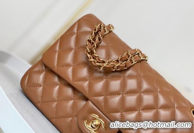 Luxury Classic Chanel Lambskin Classic Medium Flap Bag A01112 Brown/Gold