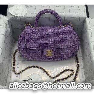 Trendy Design Chanel Tweed & Sequins Bag with Top Handle AS4569 Purple