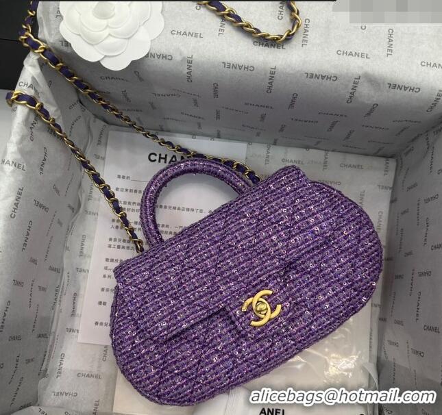 Trendy Design Chanel Tweed & Sequins Bag with Top Handle AS4569 Purple