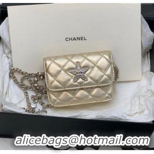 Buy Discount Chanel Grained Calfskin Belt Bag with Crystals Star AS6050 Gold 2024