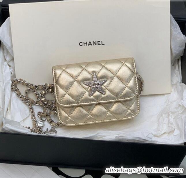 Buy Discount Chanel Grained Calfskin Belt Bag with Crystals Star AS6050 Gold 2024