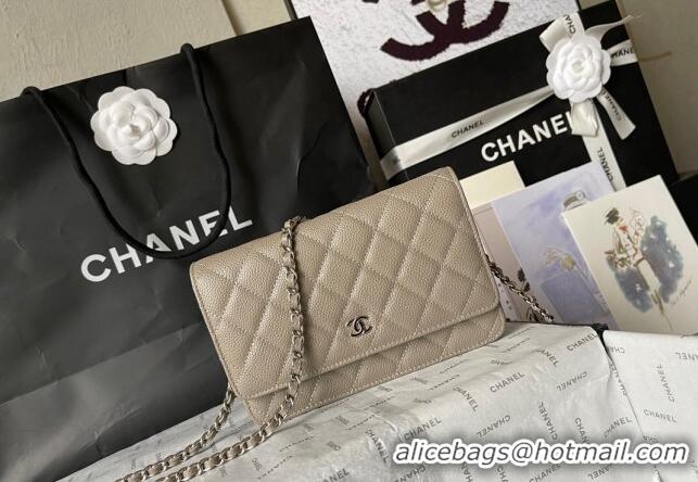 Best Price Chanel Grained Calfskin Classic Wallet on Chain WOC AS7017 Silver/Grey 2024