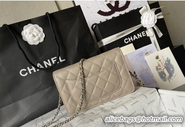 Best Price Chanel Grained Calfskin Classic Wallet on Chain WOC AS7017 Silver/Grey 2024