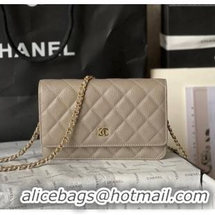 Top Quality Chanel Grained Calfskin Classic Wallet on Chain WOC AS7017 Gold/Grey 2024