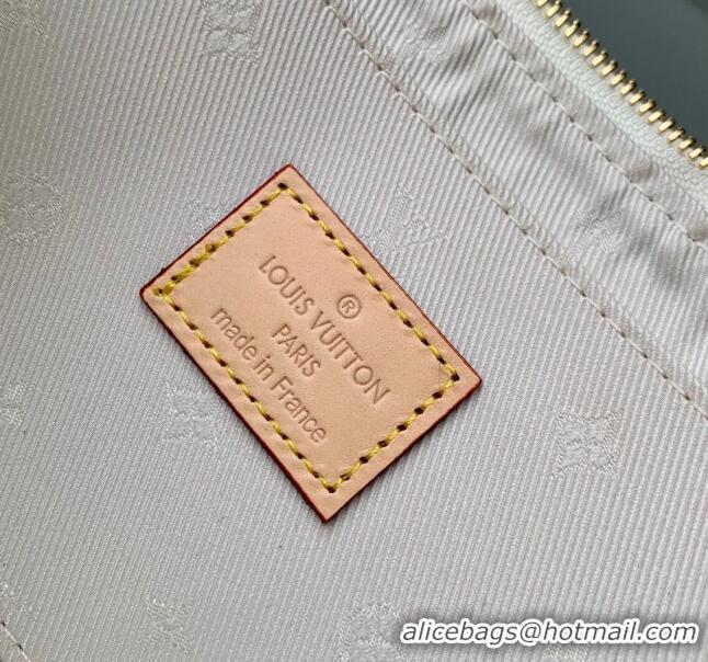 Unique Grade Louis Vuitton Pochette Accessoires Clutch in Multicolor Beige Monogram Jacquard Fabric M40712 2024