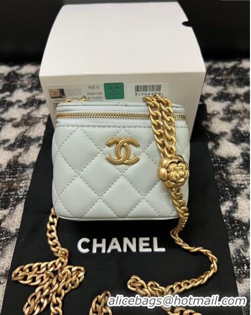 Buy Fashionable Chanel Lambskin Mini Vanity Case with Camellia Chain AS2218 Light Blue 2024