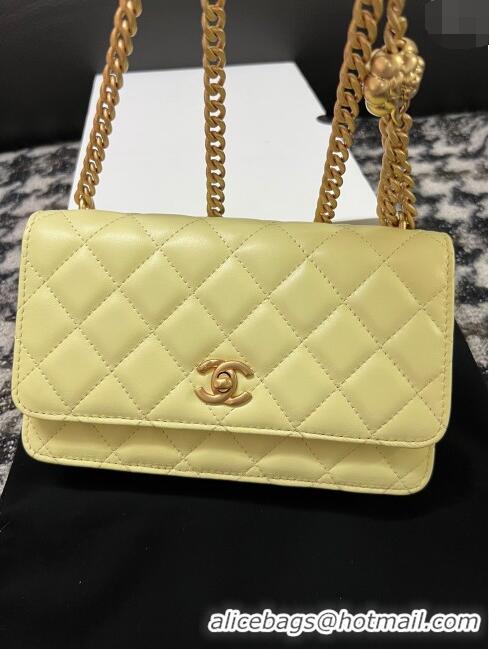 Famous Brand Chanel Quilted Lambskin Wallet on Chain WOC with Camellia Chain AS2217 Yellow 2024