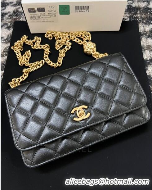 Most Popular Chanel Quilted Lambskin Wallet on Chain WOC with Camellia Chain AS2217 Black 2024