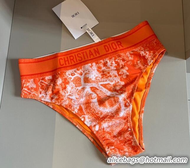 ​Best Price Dior Fluorescent Swimwear D0618 Orange 2024