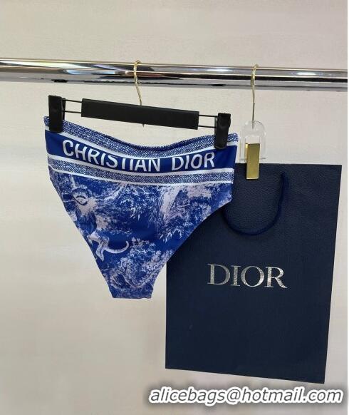 ​Good Quality Dior Zipped Swimwear 061802 Blue Print 2024