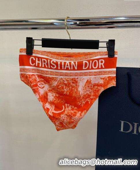 ​Unique Grade Dior Zipped Swimwear 061802 Orange Print 2024