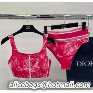 Top Quality Dior Zipped Swimwear 061802 Pink Print 2024