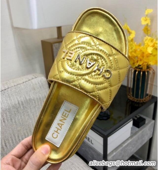 Best Grade Chanel Quilted Lambskin Flat Slide Sandals with CC and Signature Gold 601003