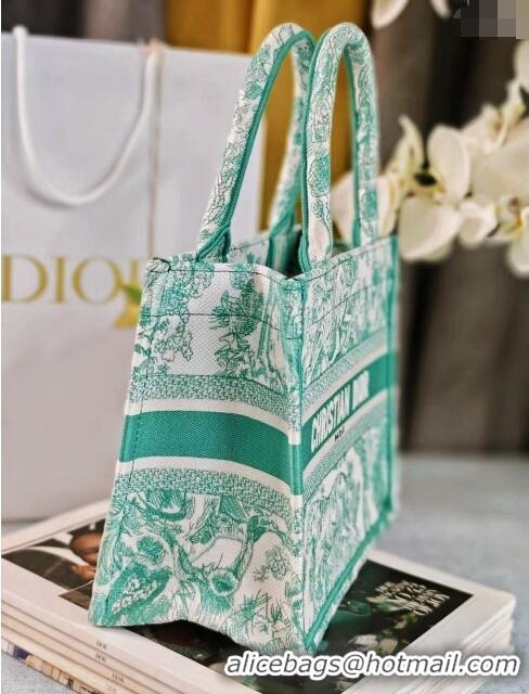 Stylish Dior Small Book Tote Bag in Toile de Jouy Embroidery CD2816 Aquamarina 2024