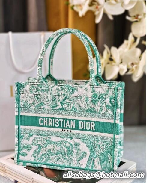 Stylish Dior Small Book Tote Bag in Toile de Jouy Embroidery CD2816 Aquamarina 2024