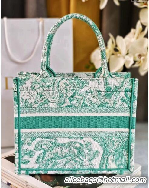 Stylish Dior Small Book Tote Bag in Toile de Jouy Embroidery CD2816 Aquamarina 2024