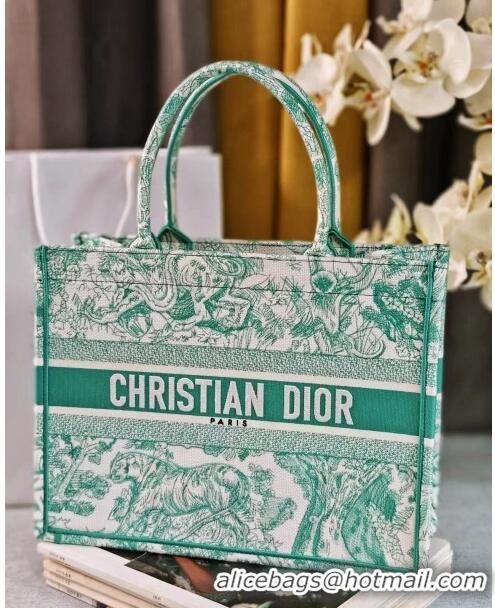 Hot Style Dior Medium Book Tote Bag in Toile de Jouy Embroidery CD2817 Aquamarina 2024