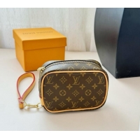 Buy New Cheap Louis Vuitton Vanity Monogram Clutch 0513 Brown 2024