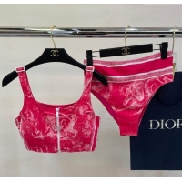 Top Quality Dior Zipped Swimwear 061802 Pink Print 2024