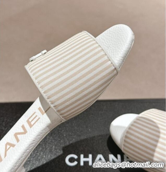 1:1 aaaaa Chanel Stripes Embroidered Fabric Flat Slide Sandals Beige 603038