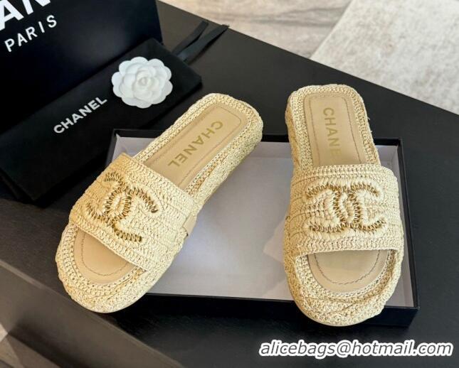 Top Grade Chanel Raffia Straw Flat Slides Sandal Beige 603068