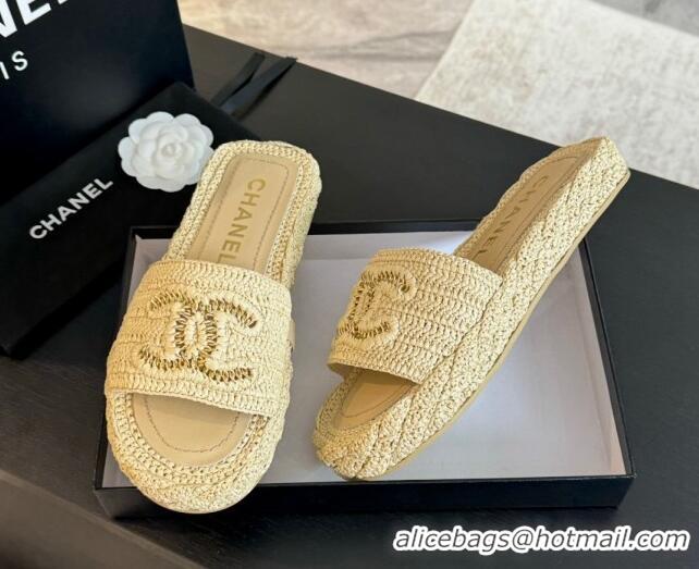 Top Grade Chanel Raffia Straw Flat Slides Sandal Beige 603068