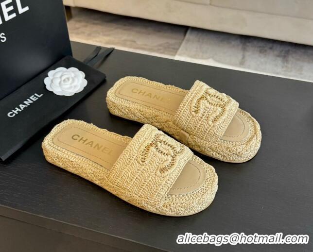 Top Grade Chanel Raffia Straw Flat Slides Sandal Beige 603068