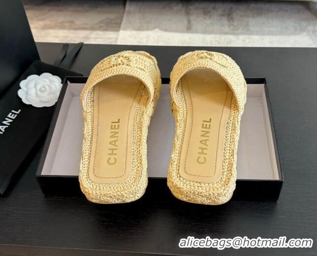 Top Grade Chanel Raffia Straw Flat Slides Sandal Beige 603068