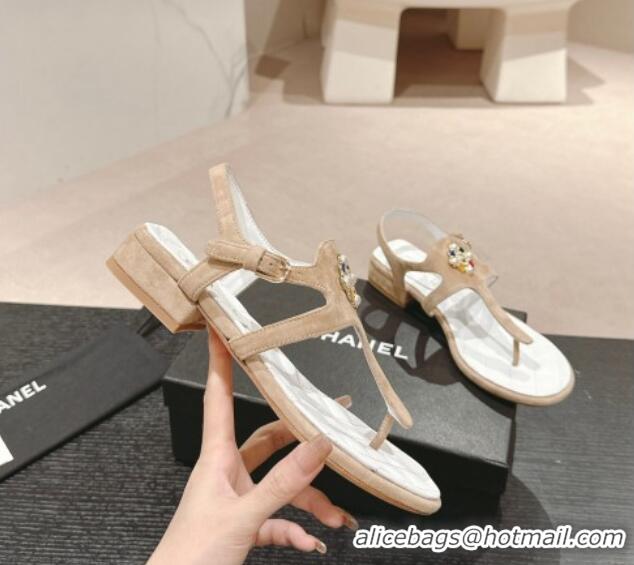 Sophisticated Chanel Suede Flat Thong Sandals with Pearls Flower Beige 603098