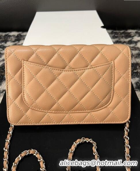 Famous Brand Chanel Lambskin Wallet On Chain WOC with Strass CC A96071 Beige 2024