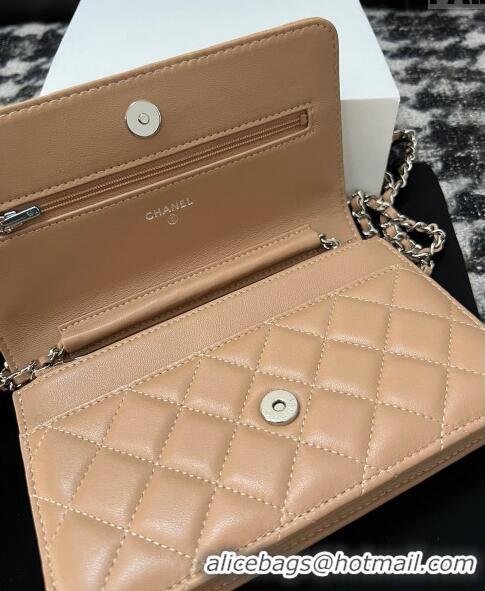 Famous Brand Chanel Lambskin Wallet On Chain WOC with Strass CC A96071 Beige 2024