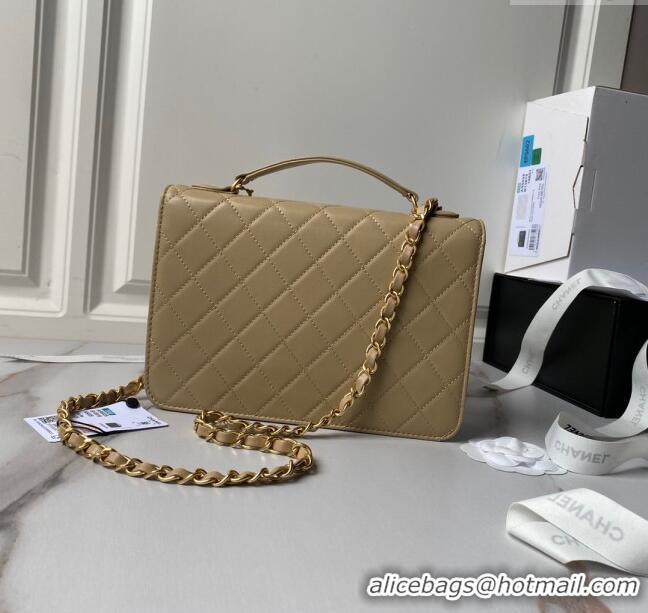 Buy Luxury Chanel Leather Flap bag with Top Handle AS6025 Beige 2024