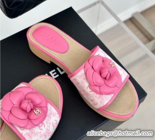 Good Looking Chanel CC Print Canvas Heel Slides Sandal 4cm with Camellia Bloom Pink 701136