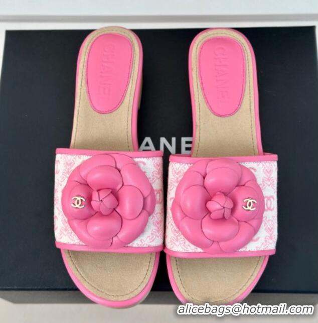 Good Looking Chanel CC Print Canvas Heel Slides Sandal 4cm with Camellia Bloom Pink 701136