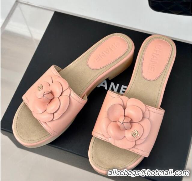 Sumptuous Chanel Calfskin Heel Slides Sandal 4cm with Camellia Bloom Coral Pink 701137