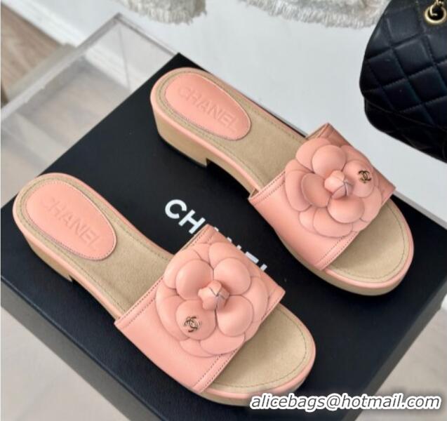 Sumptuous Chanel Calfskin Heel Slides Sandal 4cm with Camellia Bloom Coral Pink 701137