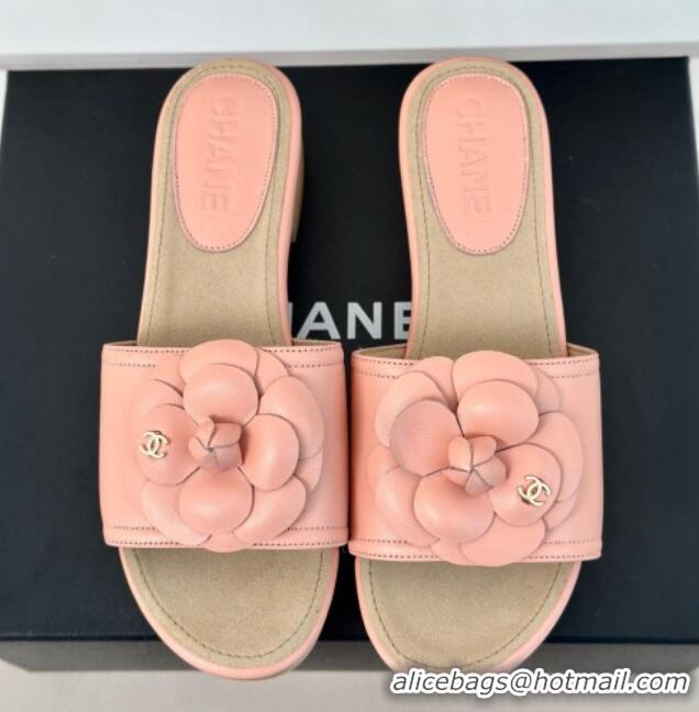 Sumptuous Chanel Calfskin Heel Slides Sandal 4cm with Camellia Bloom Coral Pink 701137