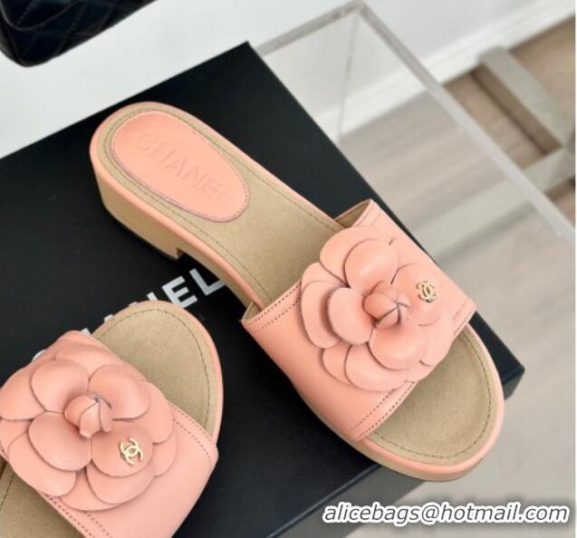 Sumptuous Chanel Calfskin Heel Slides Sandal 4cm with Camellia Bloom Coral Pink 701137