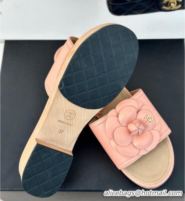 Sumptuous Chanel Calfskin Heel Slides Sandal 4cm with Camellia Bloom Coral Pink 701137