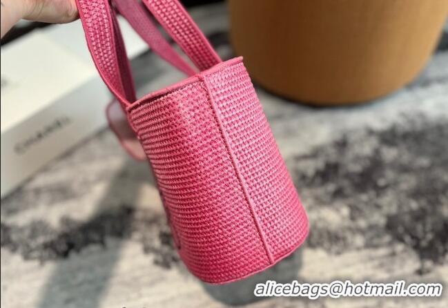 Famous Brand Loewe Elephant Straw Tote Bag 0709 Pink 2024