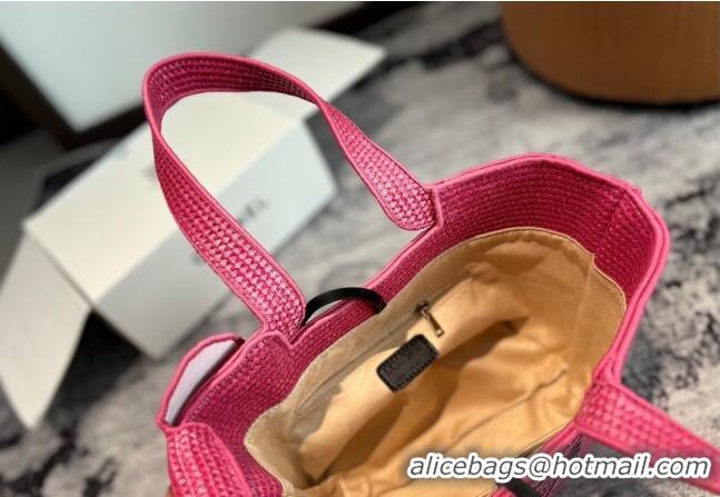 Famous Brand Loewe Elephant Straw Tote Bag 0709 Pink 2024