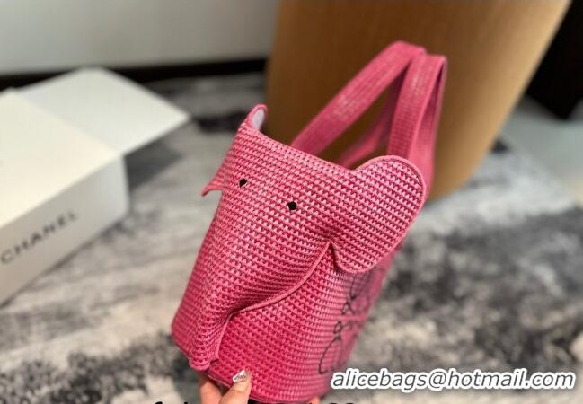 Famous Brand Loewe Elephant Straw Tote Bag 0709 Pink 2024