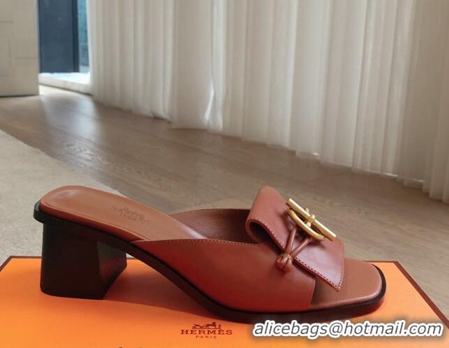 Best Product Hermes Ilot Heel Slides Sandal 5cm in Calfskin with Glenan Buckle Brown 703046