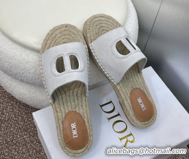 Good Looking Dior D-Club Flat Espadrille Slide Sandals in CD Suede Light Grey 604024