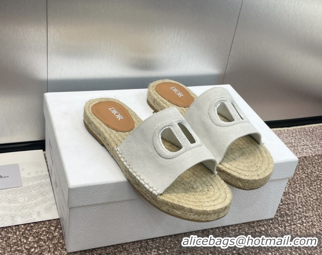 Good Looking Dior D-Club Flat Espadrille Slide Sandals in CD Suede Light Grey 604024