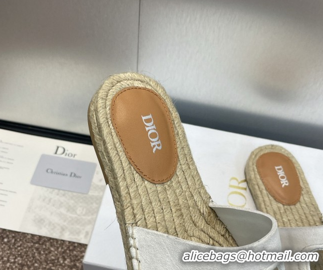 Good Looking Dior D-Club Flat Espadrille Slide Sandals in CD Suede Light Grey 604024